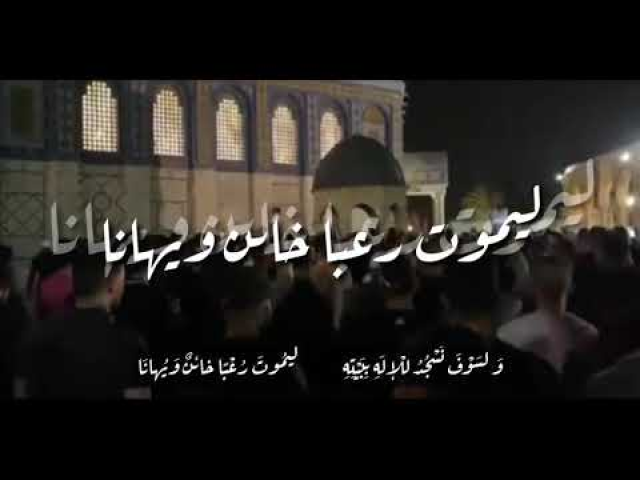 سنعود