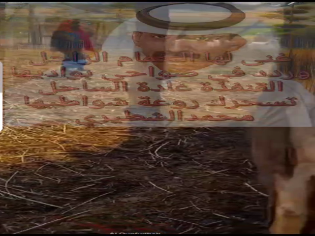 القنفذة