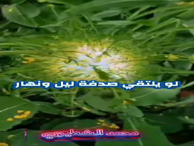 صورة وتذكار