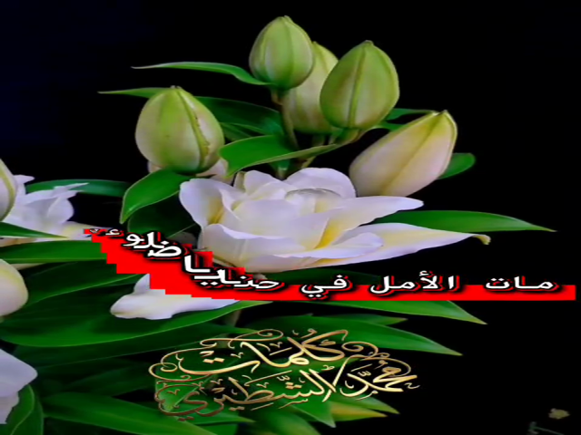 ذبلا ويباس