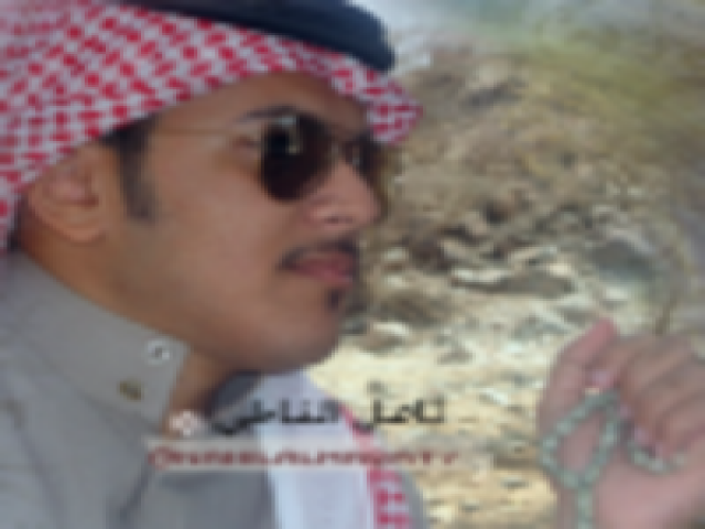 محمد بن رضي الدين الغزي