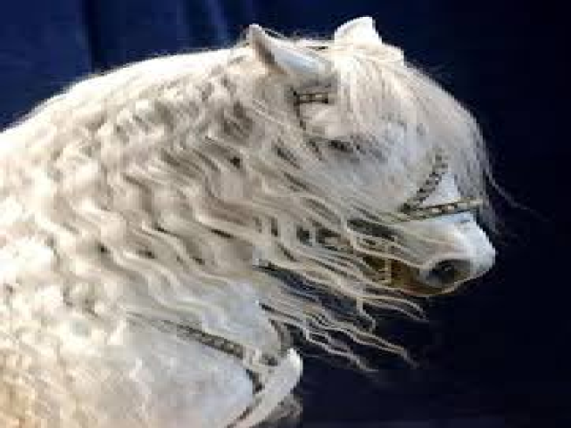 موضي عزيز الهذلي