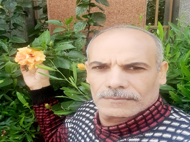 عماد الشافعي موسى موسى